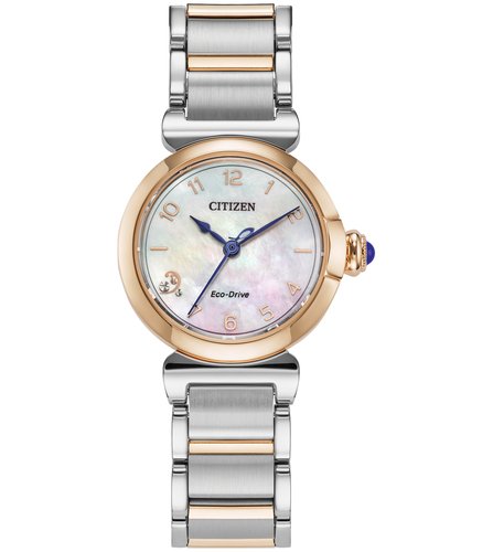 Reloj Citizen De Pulso C061864