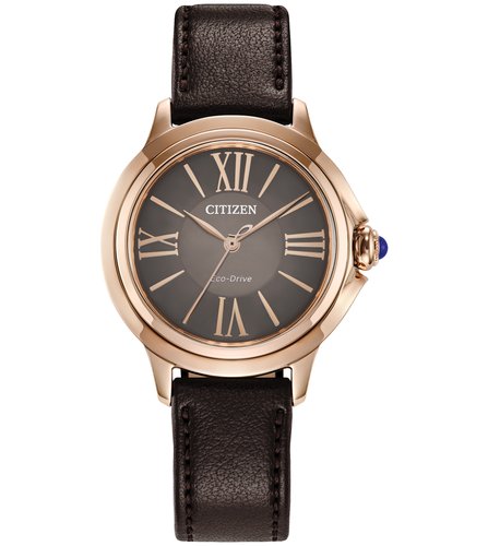 Reloj Citizen De Pulso C061870