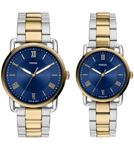 Reloj Fossil De Pulso FS6198SET